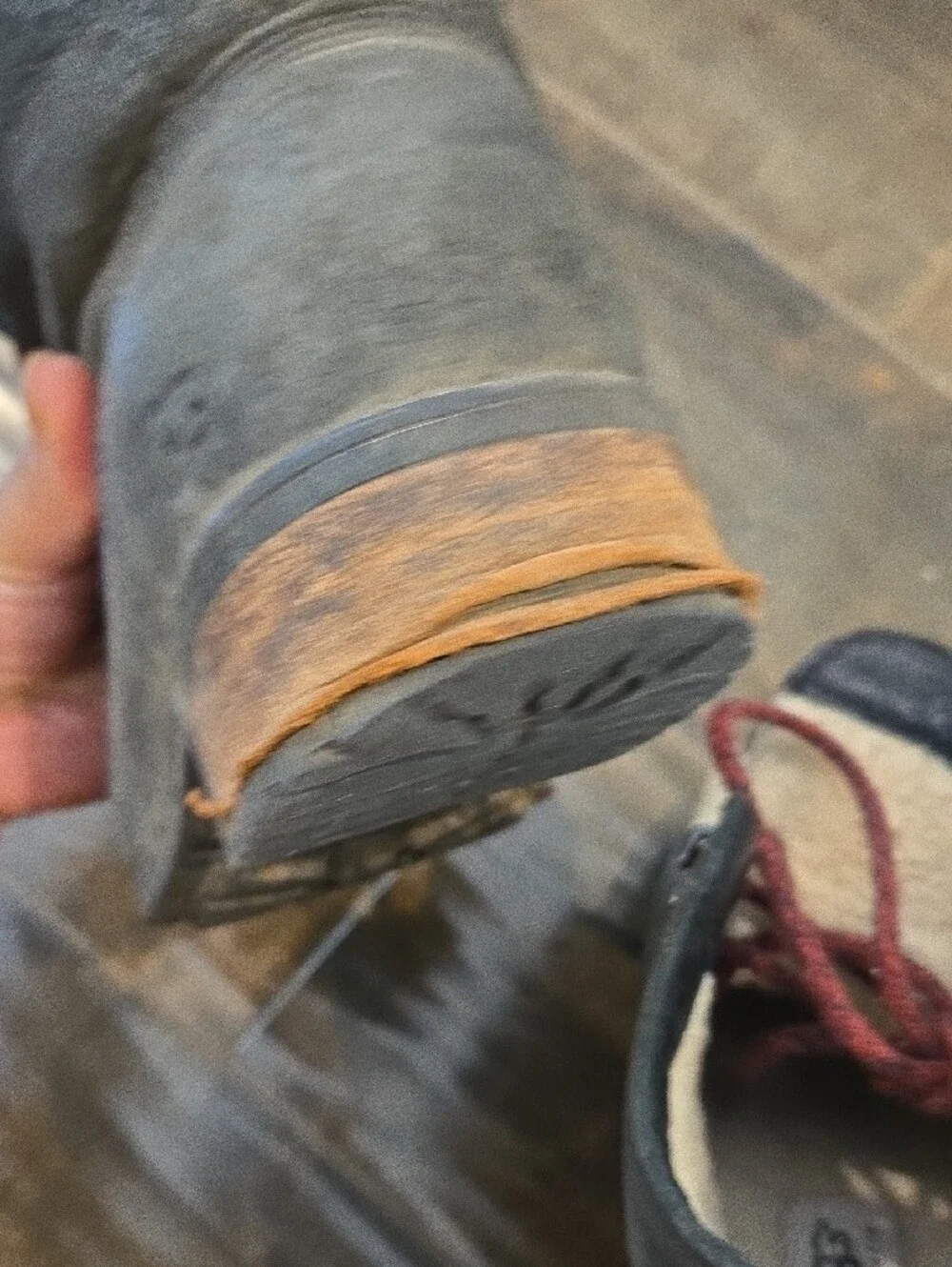 Ugg Black Suede Winter Ankle Boots with Burgundy Laces